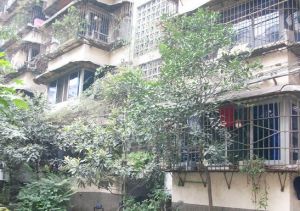 莲花南路4号 2室1厅 东北