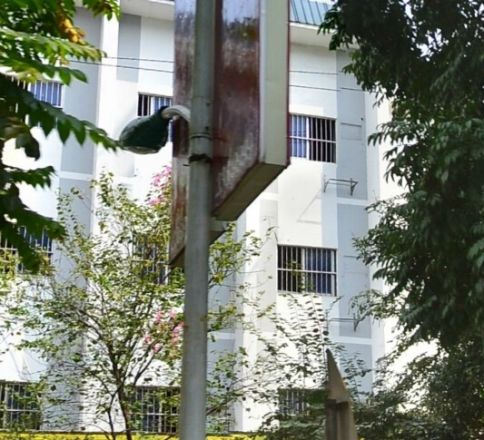 崇左公安局驻邕生活区实景图