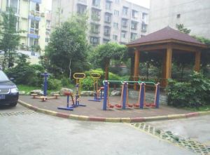 青年路43号2室2厅东南