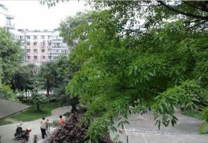 王府花园二期3室2厅西南
