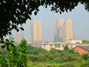 兴旺小爱同学2室1厅南