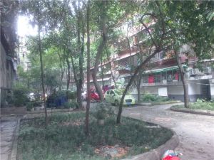 菊乐路98号4室2厅南
