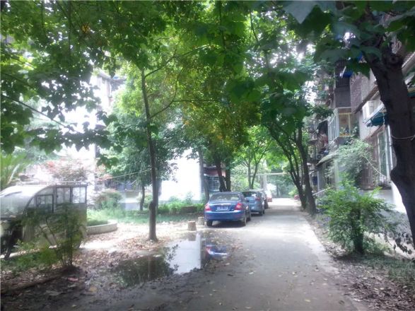 菊乐路98号院实景图