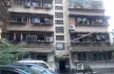 菊乐路55号实景图