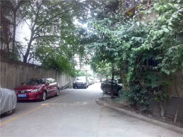 菊乐路55号实景图