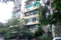菊乐路55号实景图