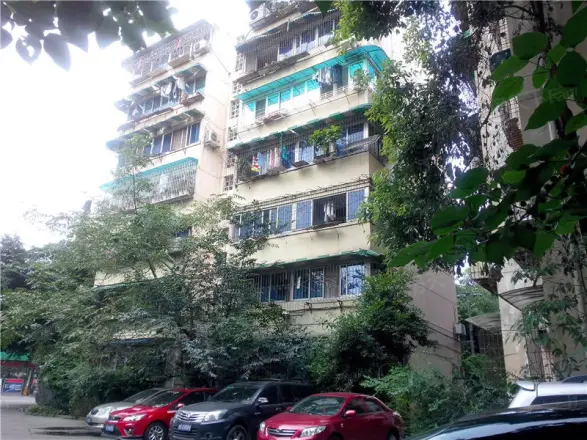 菊乐路55号实景图