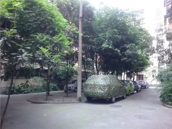 菊乐路55号实景图