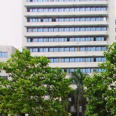 南粮大楼实景图