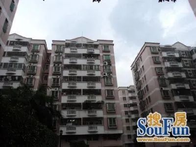南粮大楼实景图