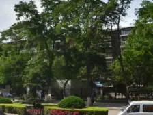 小户型 户型方正 公摊小 可按揭