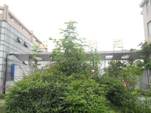 五山公寓2室2厅南