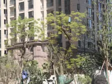 渝北龙头寺中渝梧桐公馆温馨一室出售,