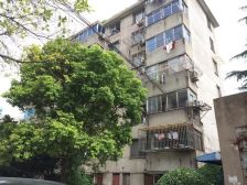 板桥东村 一室一厅 好楼层 诚心卖