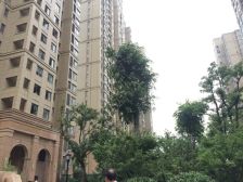 出行方便,户型方正,居住方便舒适