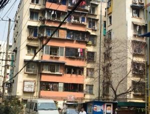 坛神巷2室1厅南