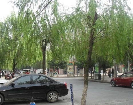 小区相关图