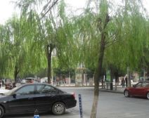 富力山水人家 3室2厅 南 北