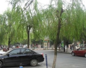 富力山水人家 2室1厅 东南