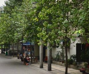 铜丝街5号2室1厅东南