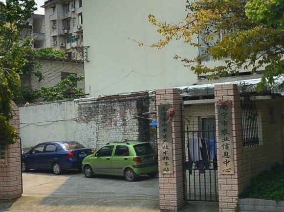 农业局大院实景图