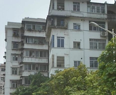 农业局大院实景图