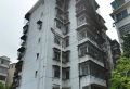 农业局大院实景图