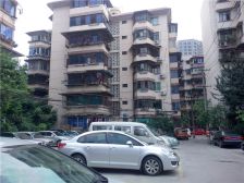 枫林苑 2室1厅 南 西南 东南