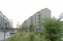 凯迪名苑实景图