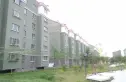 凯迪名苑实景图