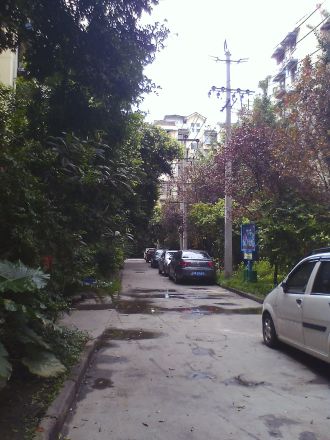 莲花新一区实景图