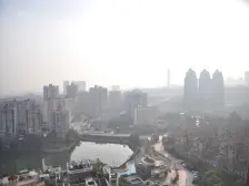 大鼎湖滨丽景 2室2厅 南