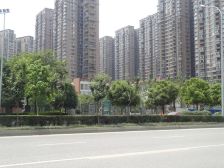 绿地之窗1室1厅南