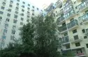 北京丽苑实景图
