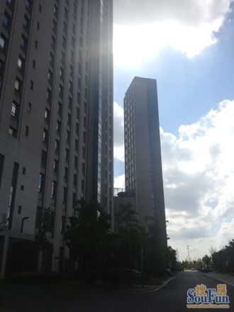 绿洲国际实景图