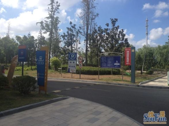 绿洲国际实景图