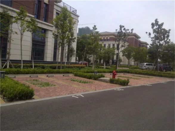 佘山天邻别墅实景图