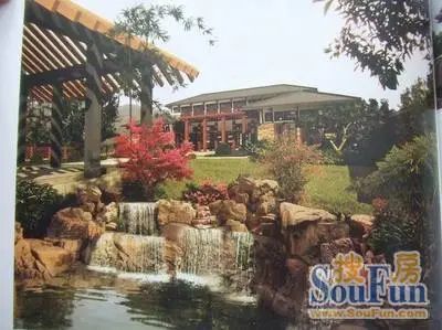 佘山天邻别墅实景图