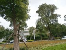 房型方正,设施齐全,采光充足,交通便利,