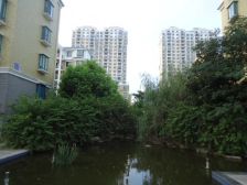 润福花园,采光好,无遮挡,交通方便