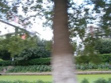 碧桂园·中邦上海城 6室3厅 南 北