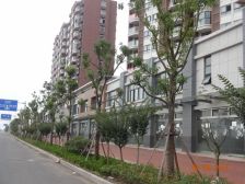 急售好房,城东花园唯一一套,高质量房源,看中可议