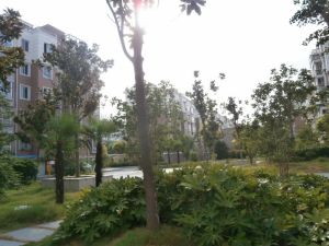 安东小区 2室2厅 南