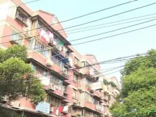 逸兴苑 1室1厅 南