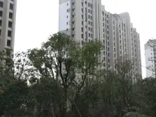 湖景房,高品质,诚意售,户型好。满五税少。