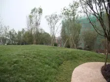 巴南万达旁学堂湾轻轨精装小高层带双车位诚心出售