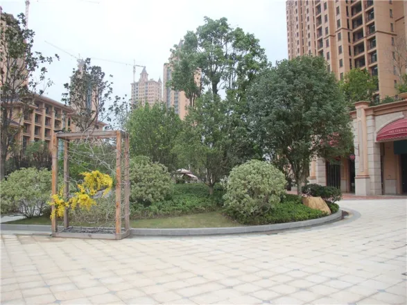 【南京雅居乐滨江国际小区,二手房,租房】- 南京房天下