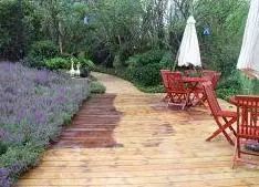 龙湖名景台新上好房,自住精装保养佳,诚售