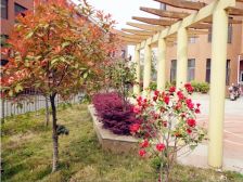 光谷桂花城3室1厅南