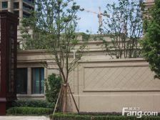 绿城玫瑰园8号楼中上楼层大户型大平层带车位